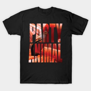 Party Animal Flamingo T-Shirt